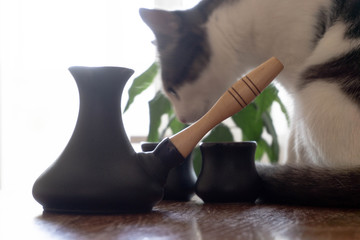 coffee cat on the table