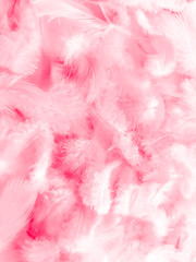 Beautiful abstract white and pink feathers on white background and soft white feather texture on pink  pattern and pink background, feather background, pink banners