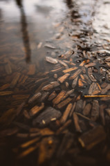 Flooded surface