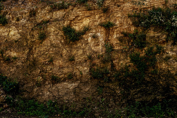 Close-up view relief cliff with plants Georgia.