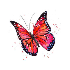 Fototapeta na wymiar butterfly watercolor illustration. hand drawn sketch
