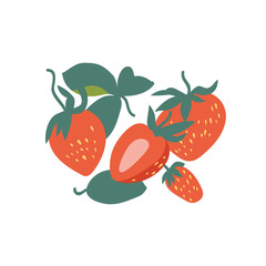 Vector illustration fresh strawberries. Colorful summer berries fruits collection.