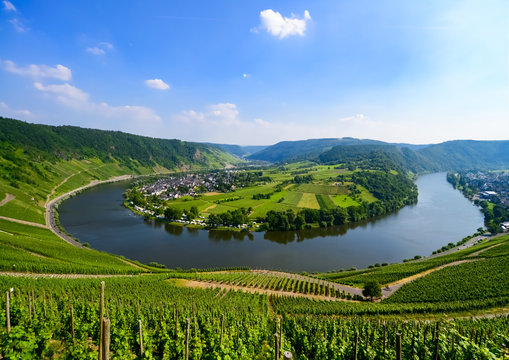 Mosel Schleife Kr&ouml;v Weinberge Deutschland Wolf Traben-Trabach Fluss Wandern Moselsteig Aussicht Panorama Kreuzfahrt Winzer Rheinland-Pfalz Bogen Attraktion Sommer Reben Tourismus Dorf