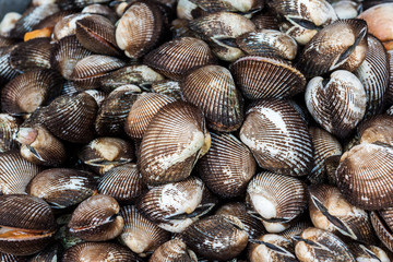 Fresh snails in food market, Vietnam