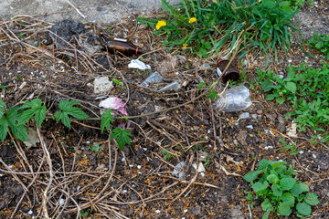 waste,.bottles, polyethylene, plastic, environmental pollution