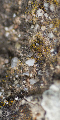 Macro rock