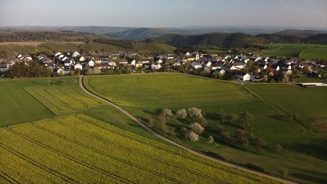 bl&uuml;hende Kirchb&auml;ume bei Dohr, Eifel, Rheinland-Pfalz, Deutschland