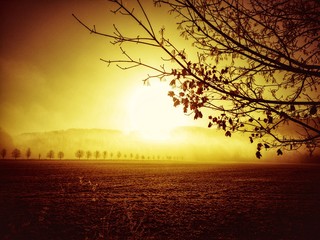 Obraz na płótnie Canvas Sunrise in the countryside.Yellow haze over the countryside