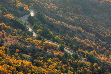 Road in the autumn forest top view. Beautiful autumn serpentine. Fall Of Crimea. Travel to Russia. Beautiful landscape with autumn forest.
