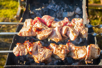 Fresh pork shish kebab is fried on skewers on the grill