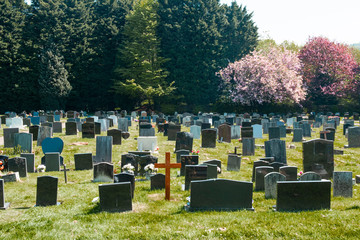 A Christian cemetery on a bright sunny day with trees in blossom