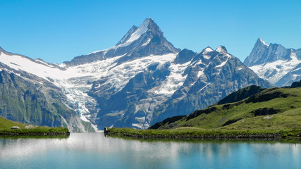 Fototapeta na wymiar The Schreckhorn seen from Bachalpsee in the Swiss Bernese Alps 