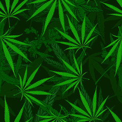 Naklejka na ściany i meble Cannabis leafs seamless vector pattern dark green