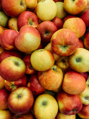 lots of ripe fruit apples for cooking as a background