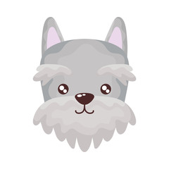 head of cute dog on white background