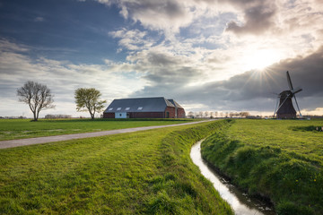 sunshine over Dutch farmland with windmill