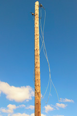 Old wooden pole with broken electric wires. Close-up view of old abandoned wooden pole for fixing...