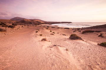 Fototapeta na wymiar Sand desert dunes and sea beach landscape at sunrise