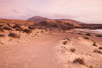 Sand desert dunes and sea beach landscape at sunrise