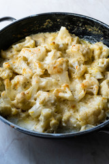 Roasted Cauliflower with Cream, Milk and Cheddar Cheese in Pan Pot / Healthy Organic Vegetarian Food.