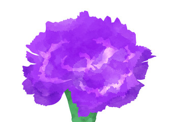 紫のカーネーション 一輪