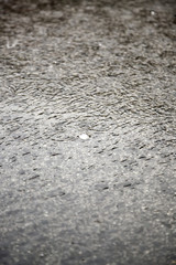Torrential rain with hail