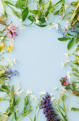 Floral frame of spring wildflowers flat lay on blue paper background with space for text. Greeting card template. Blooming colorful flowers. Happy Easter. Mother's day concept. Hello spring