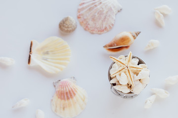 たくさんの貝殻