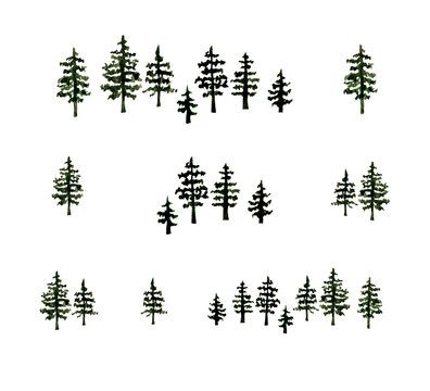 Watercolor hand drawn conifer tree forest  illustration. 