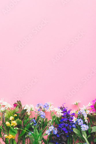 Floral flat lay of colorful spring wildflowers on pink paper background, space for text. Floral greeting card template. Happy Mother's day concept. Hello spring. Blooming spring flowers border