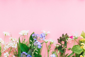 Obraz premium Wildflowers colorful border on pink paper background, flat lay with space for text. Blooming spring flowers, floral greeting card template. Happy Mother's day concept. Hello spring
