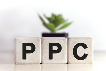 PPC on wooden cubes on a white background with a pot of flowers