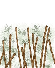 Bamboo wood