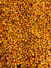 lots of ripe berries for cooking as a background
