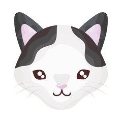 Fototapeta na wymiar head of cute cat on white background, feline domestic