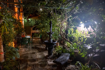 Beautiful Green Home Garden WIth Diverse Tropical Plants And Trees At Night.