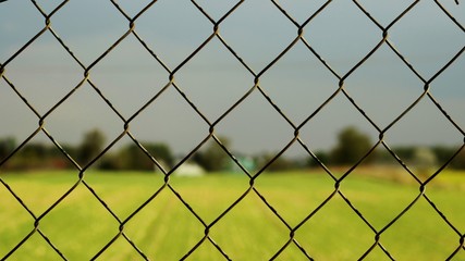 chain link fence and grass