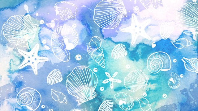 海の貝殻のイラスト 水彩画 Stock イラスト Adobe Stock 海の貝殻のイラスト 水彩画 Stock イラスト Adobe Stock