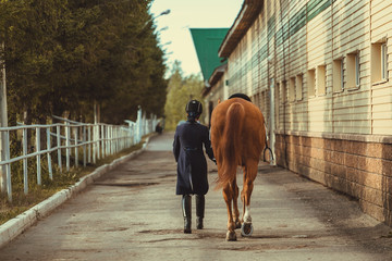 Rider woman with the horse are walking in a stable outdoors for dressage training