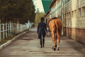 Rider woman with the horse are walking in a stable outdoors for dressage training