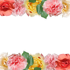 Beautiful flower pattern of roses and carnations. Isolated