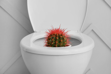 Toilet bowl with cactus in restroom. Hemorrhoids concept