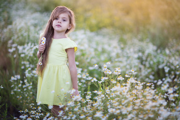 A child in a field with daisies