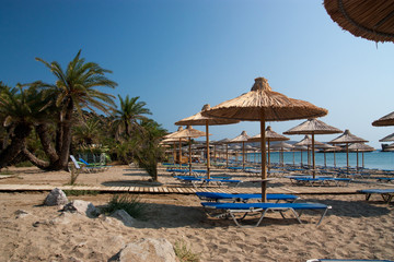 beach with umbrellas