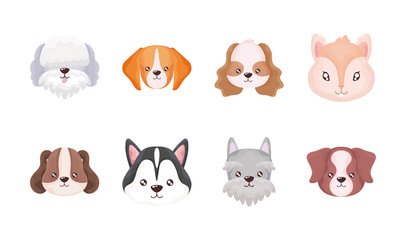 set of heads of cats and dogs on white background