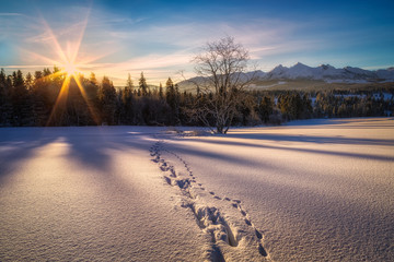 Zimowy poranek na Łapszance, w tle Tatry Bielskie © Piotr Gołębniak