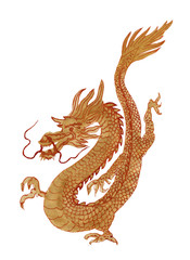 .Golden dragon painted by paint isolated on a white background. Asian, chinese, japanese dragon isolated on white background.