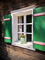 Typische grüne Fensterläden an traditionellem österreichischem alpinen alten Holzhaus im Salzkammergut, Oberösterreich