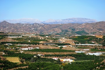 Fototapeta na wymiar View of the countryside with mountains to rear, Benamocarra, Andalusia, Spain.