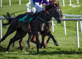 Close up on two race horses competing on the track